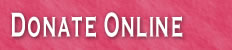 Donate Online