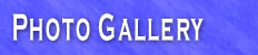 Photo Gallery HP.jpg