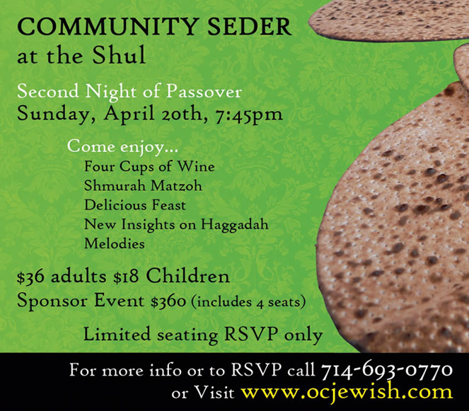 community seder