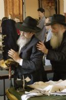 Torah Scroll