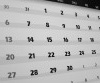 Fall Schedule